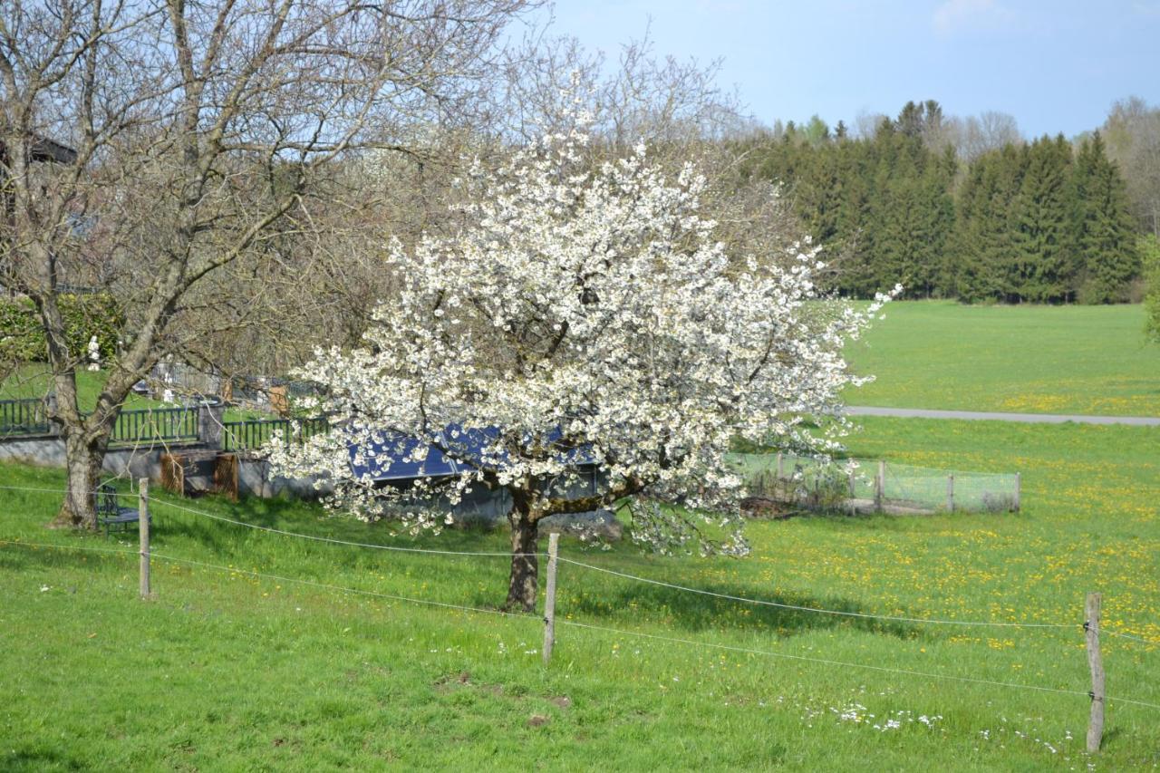 Biohof Auinger, Der Tiererlebnishof Apartman Aurach am Hongar Kültér fotó