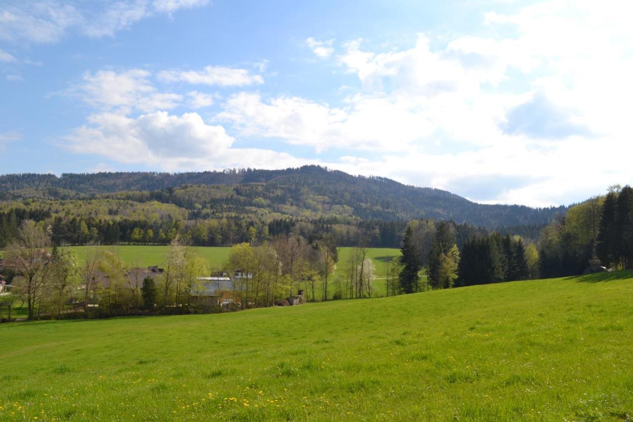 Biohof Auinger, Der Tiererlebnishof Apartman Aurach am Hongar Kültér fotó