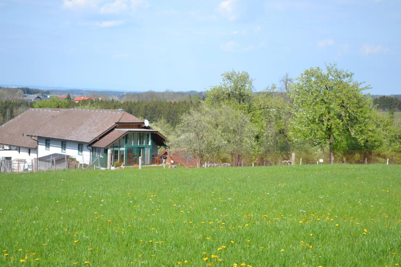 Biohof Auinger, Der Tiererlebnishof Apartman Aurach am Hongar Kültér fotó