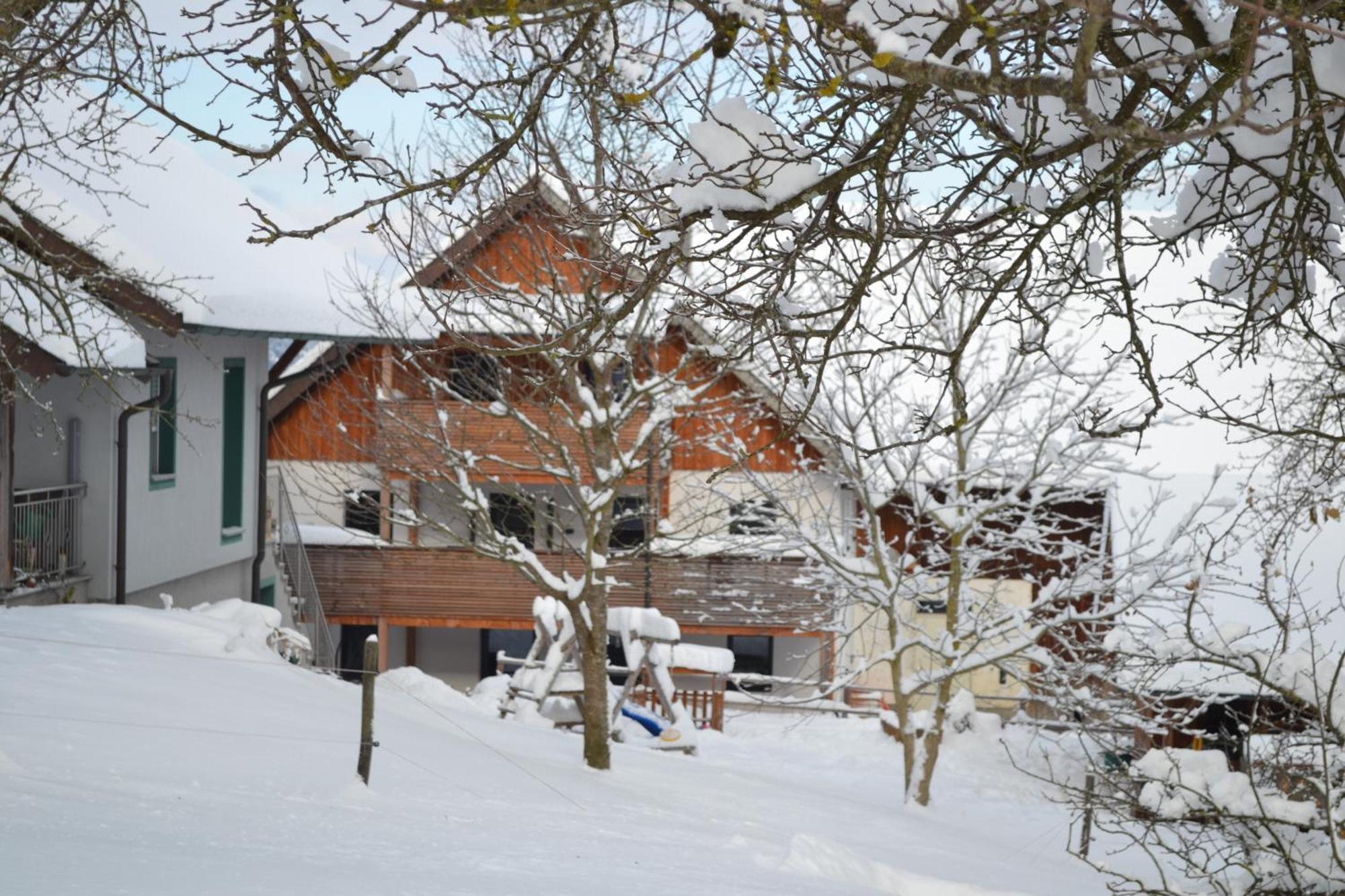 Biohof Auinger, Der Tiererlebnishof Apartman Aurach am Hongar Kültér fotó